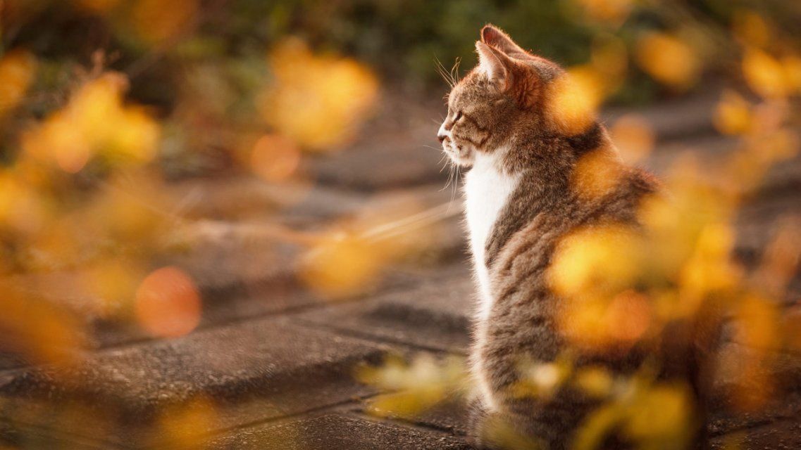 На Орловщину надвигается потепление