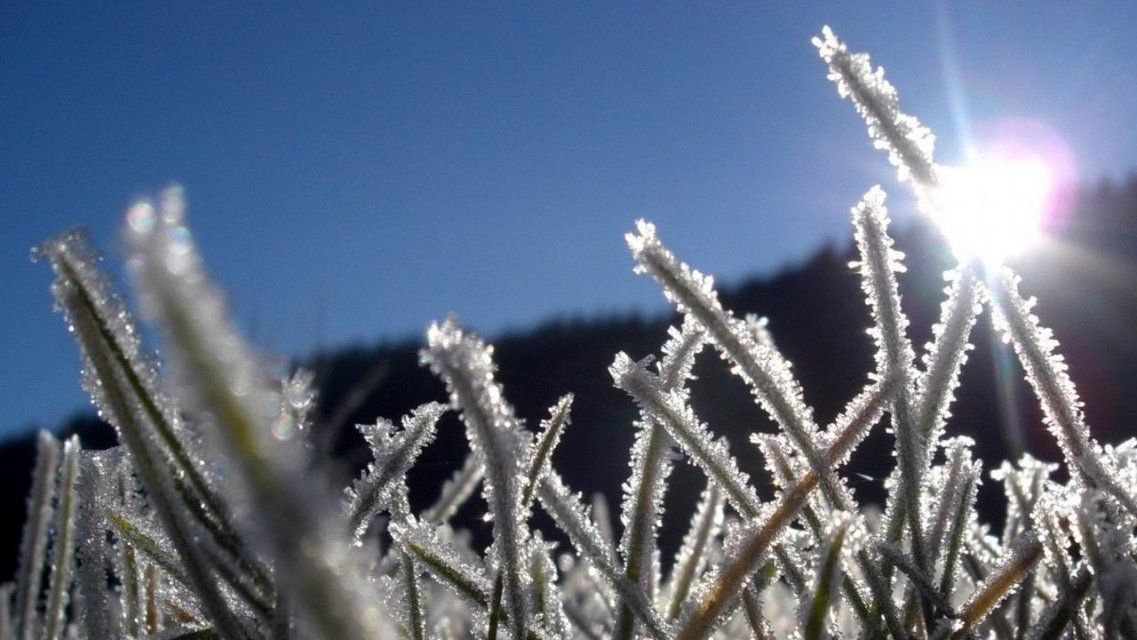 Уходим в минус: в ближайшие дни на Орловщине ожидаются заморозки