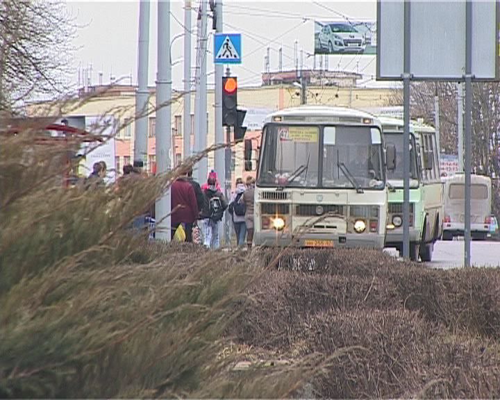 Альтернатива: Митинговать, или не митинговать — вот в чем вопрос