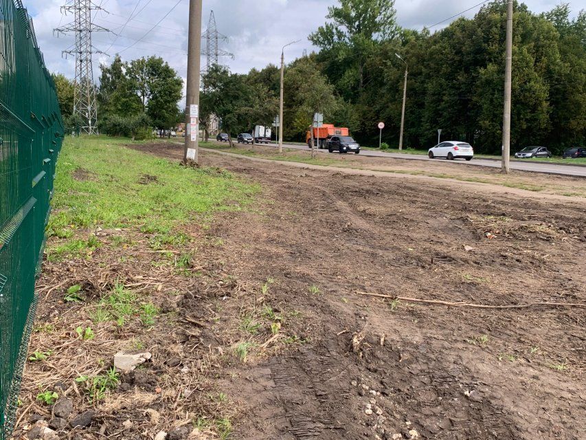 В Орле на улице Генерала Родина вырубили кустарники