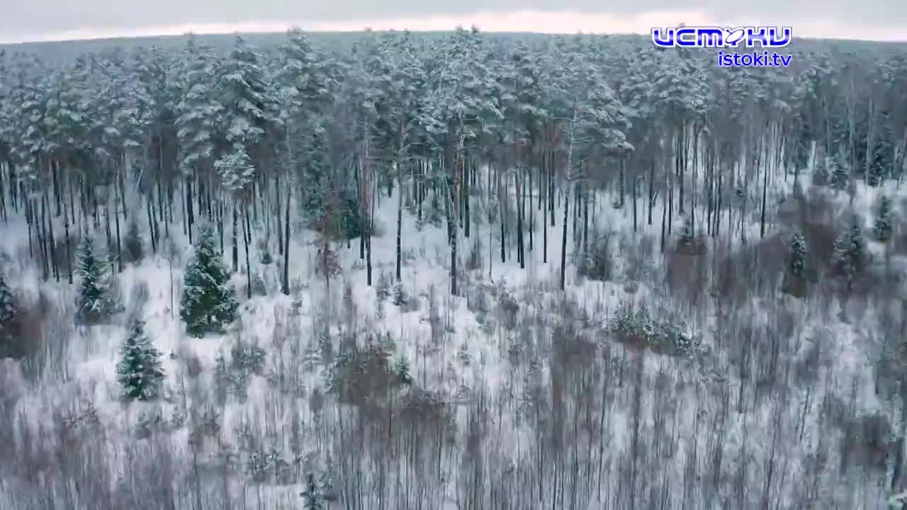 Национальный парк "Орловское полесье" в этом году отмечает юбилей-30 лет