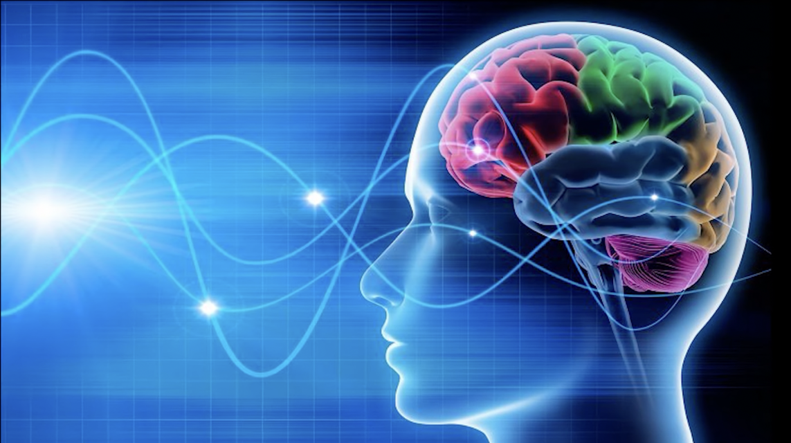 Рацион для мозга