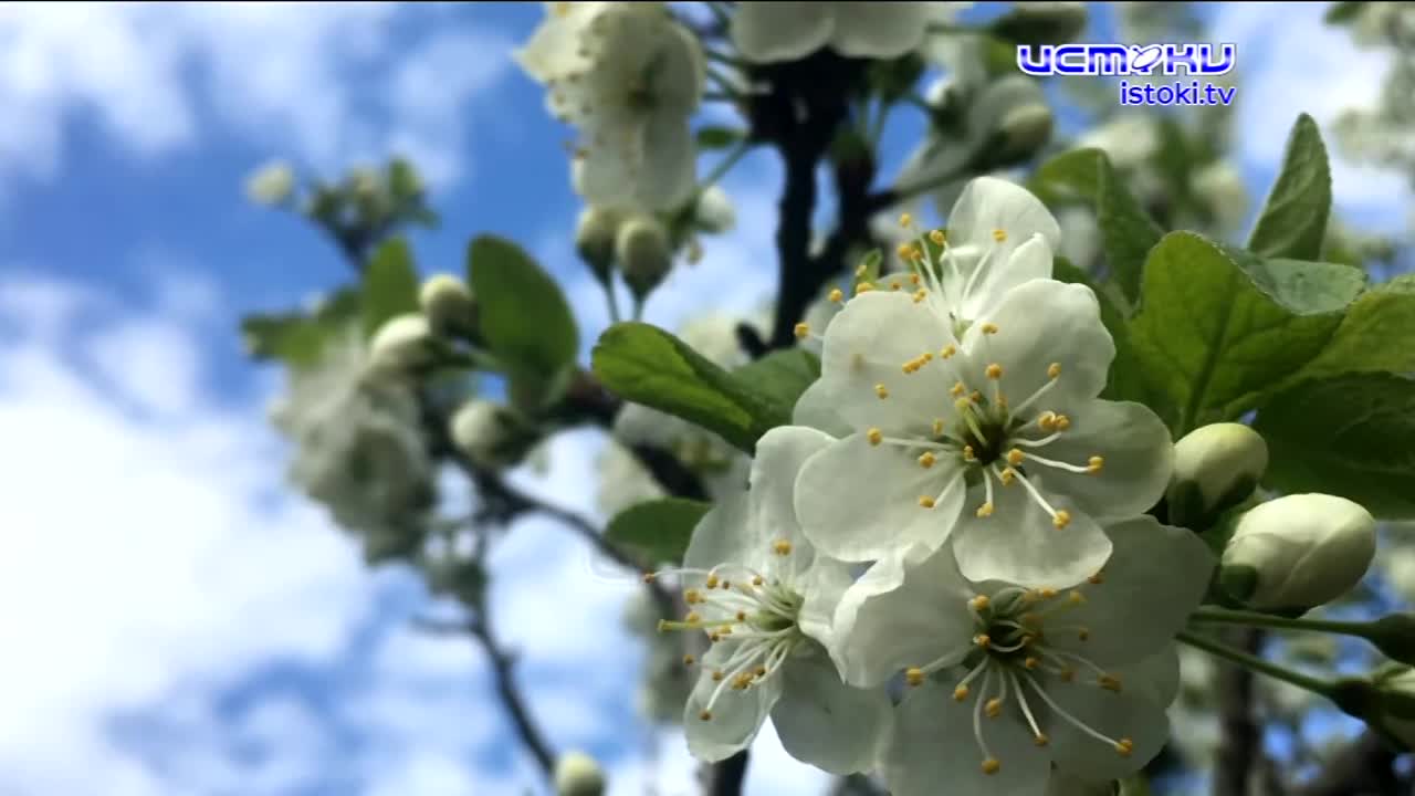 Депутаты, чиновники и строители в очередной раз обсуждали Дворянку,