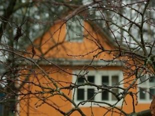 38-летний орловчанин обчистил четыре дачи