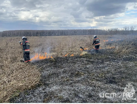 На территории Орловской области объявлен 3 класс пожарной опасности 