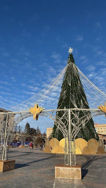 Новый год не так далеко. В Орле принимают заявки на участие в елочных базарах