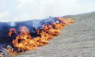 На выходных сухая трава горела в трех районах Орловской области