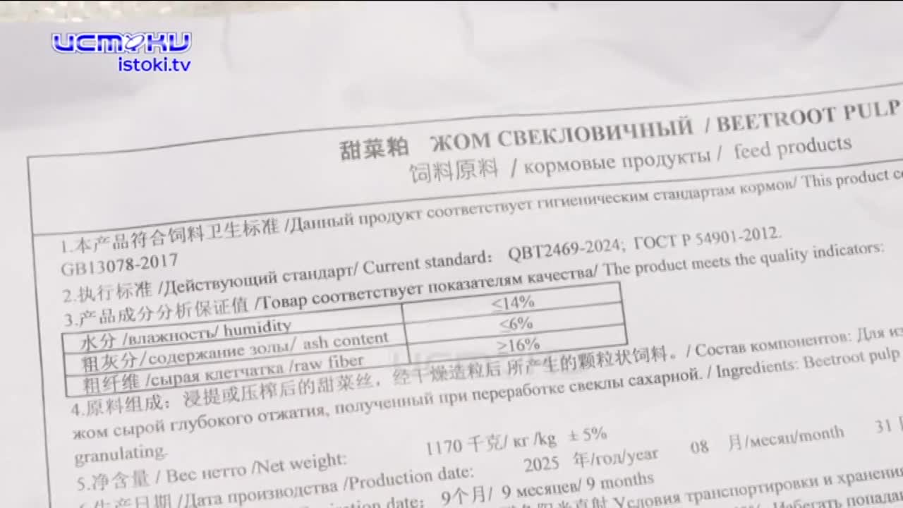 Экспертное мнение 08.07.2026