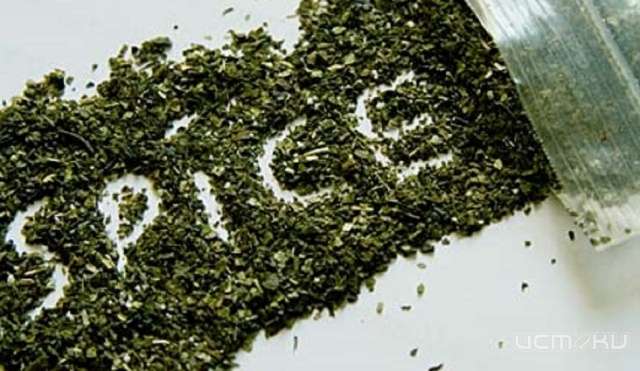 Гражданин Украины проведет в тюрьме 8,5 лет за незаконный сбыт наркотиков