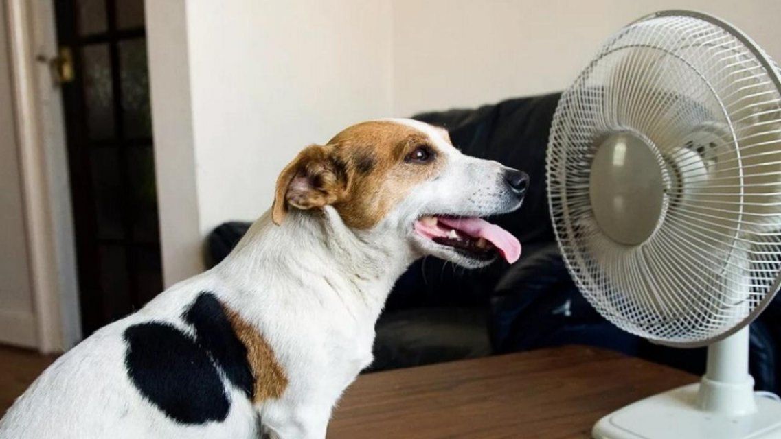 В Орле четверг будет самым жарким днем на этой неделе