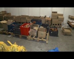 В Орле утилизировали около трех тонн мясной продукции