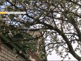 Мужчина грозил покончить с собой из-за того, что к нему не едут родители 