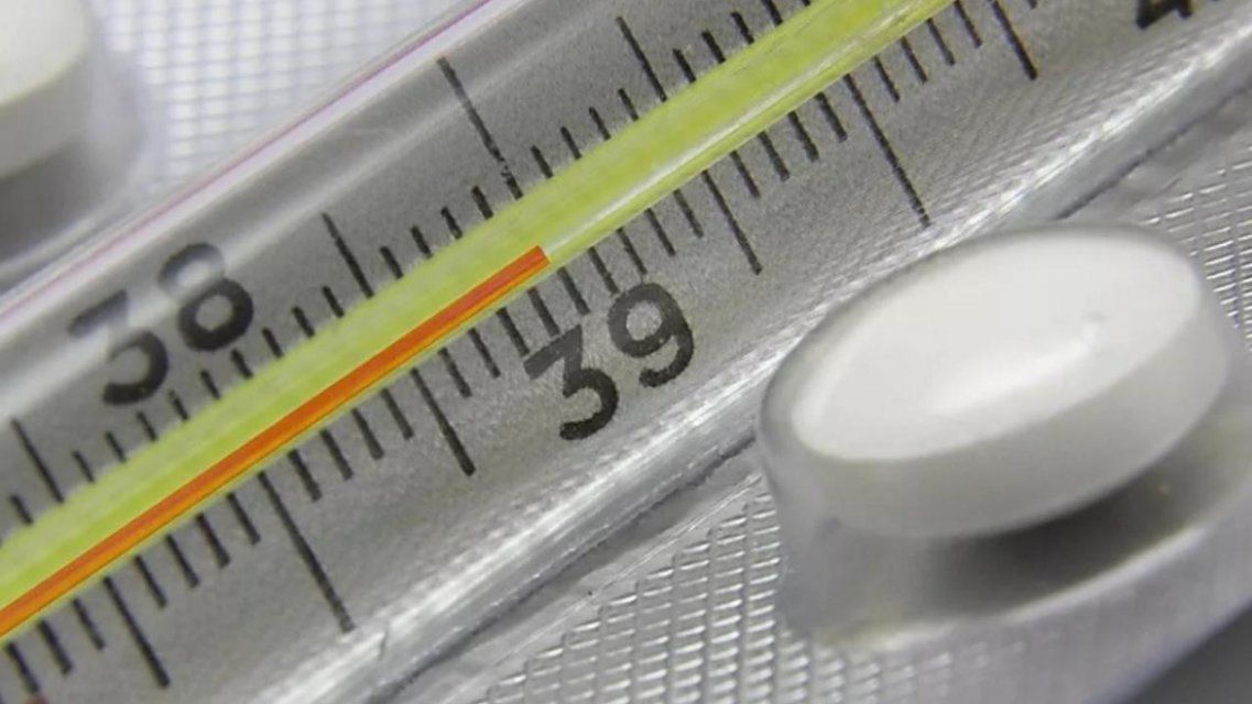 Заболеваемость ОРВИ на Орловщине снизилась более чем на 20 %