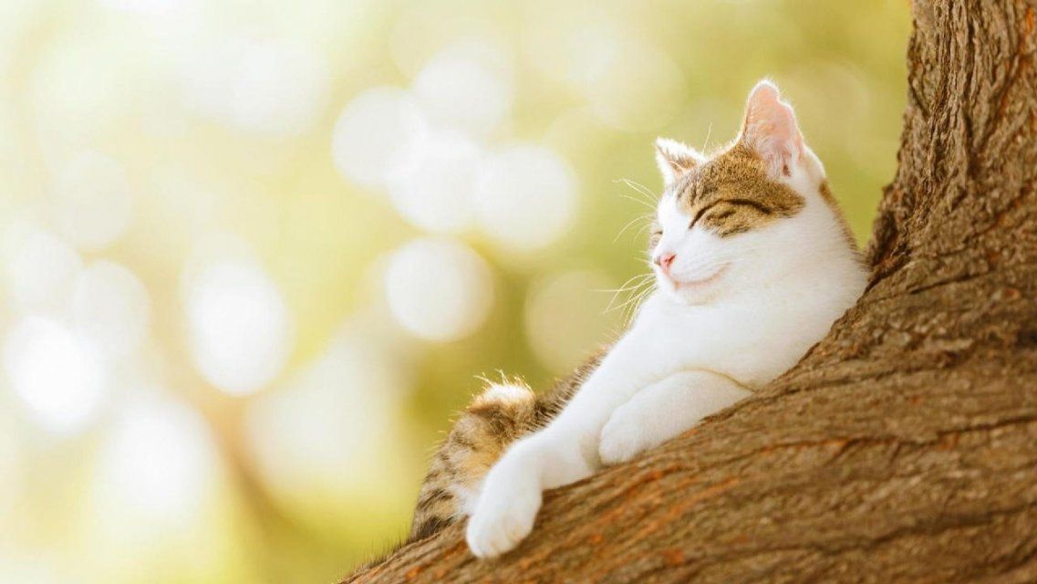 В Орел постепенно возвращается весеннее тепло