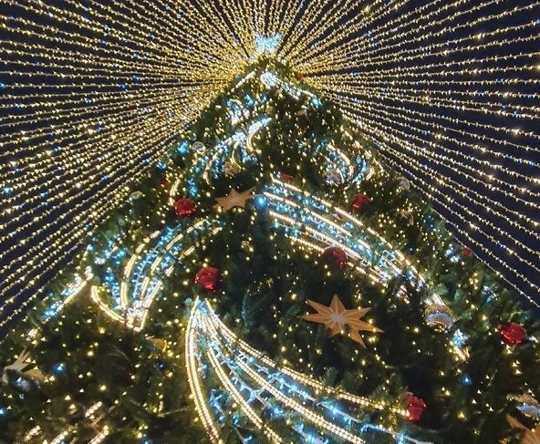 Новогодние гуляния в Орле будут длиться до 4 часов утра