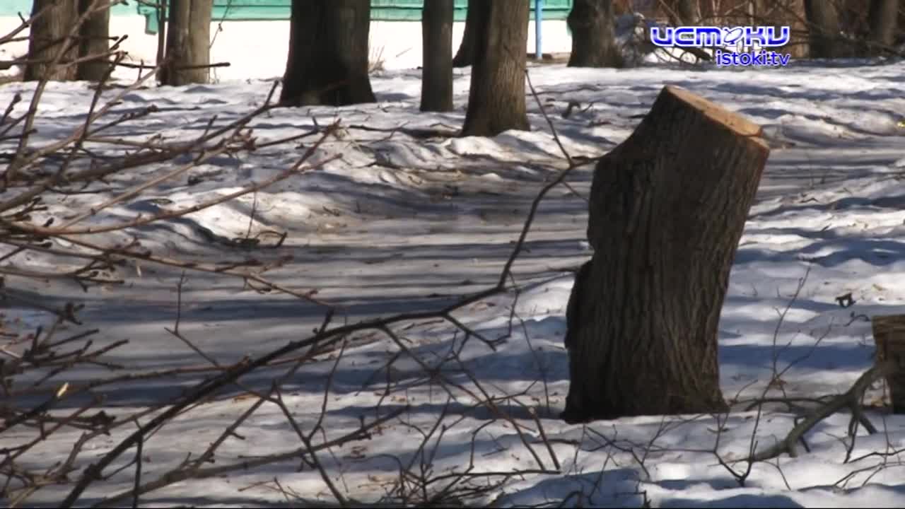 Обещать не значит сделать. Несколько лет жители Железнодорожного района ждут благоустройства Семинарского парка. Дождутся ли?