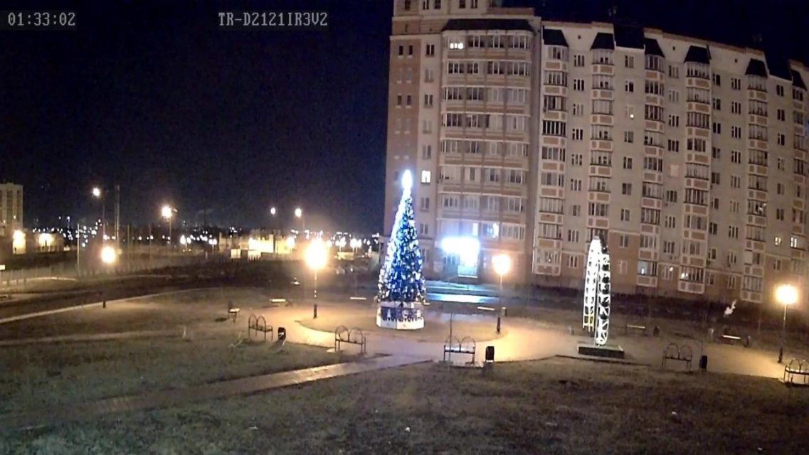 Видео: в Орле разыскивают хулиганов, утащивших новогоднего оленя