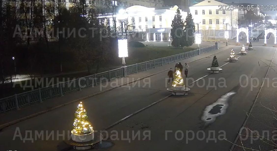 В Орле вандалы вырвали елку из вазона на Ленинском мосту 