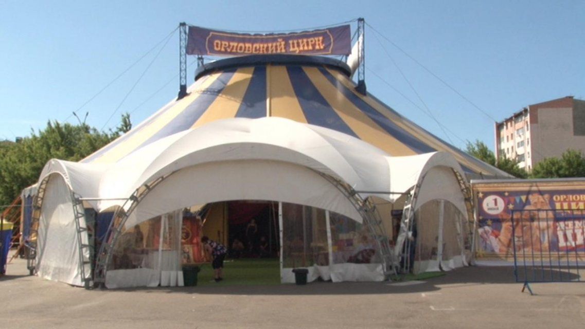 Московский цирк в орле. Орловский цирк. Московский цирк в орле. Цирк в орле. Водный цирк.