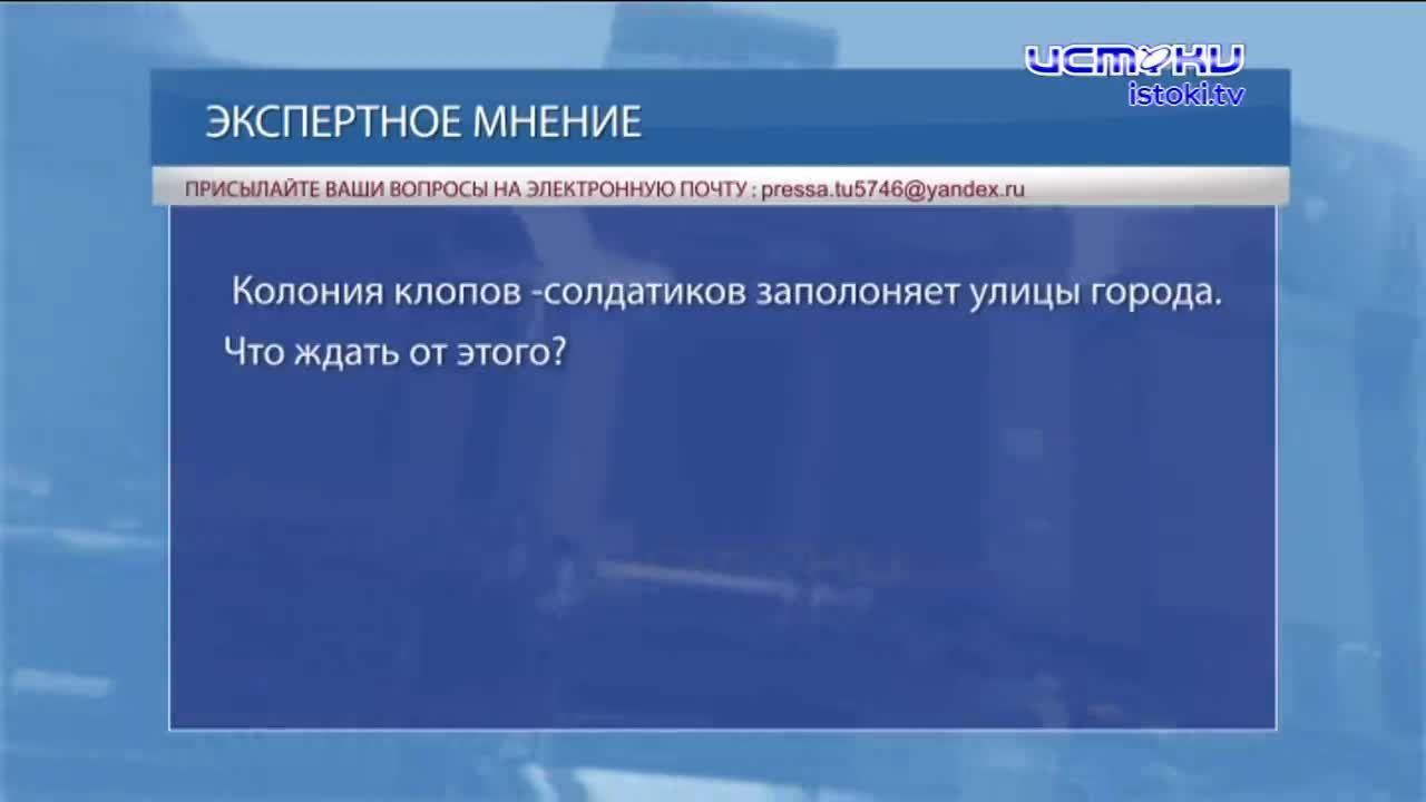 Экспертное мнение 19.07.23