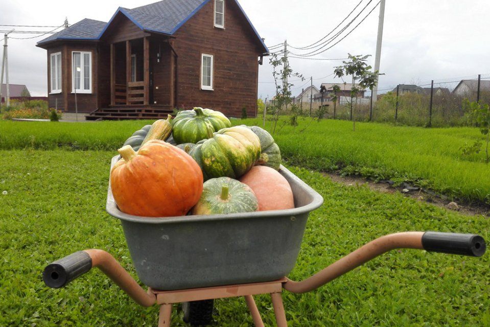 В Орле и Орловском районе начали дачный сезон с долгами