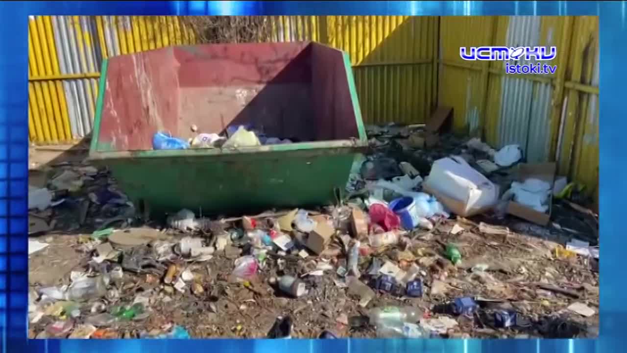Шесть лет мусорной реформы превратили контейнерные площадки в помойки