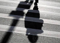 В Орле «нарисуются» новые «зебры»