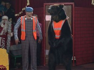 Воронежский цирк-шапито “Арлекин” в Орле 