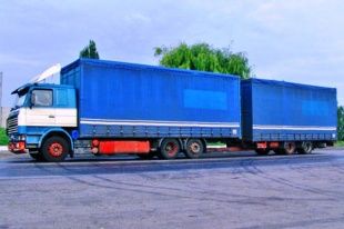 Орловский водитель спас ребенка