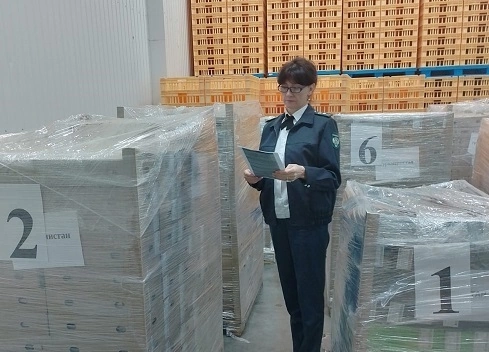 Из Орла в Туркменистан отправлена первая в этом году партия сыра и сырного продукта