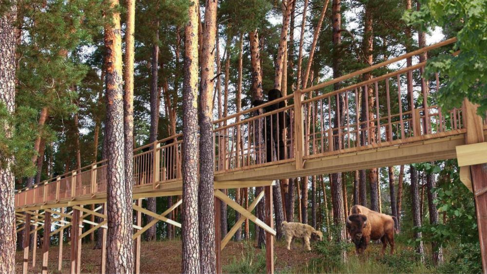 Голосуем за орловские достопримечательности! 