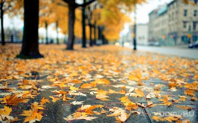 Погода в Орле на 3 октября 