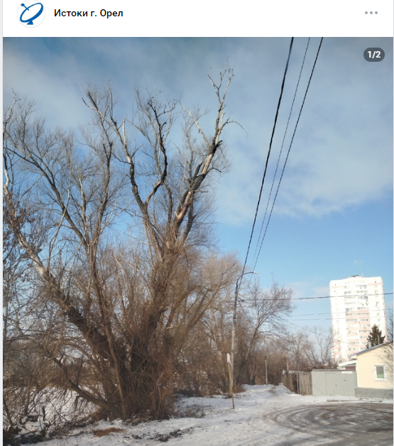 Странности опиловки в Орле продолжаются.