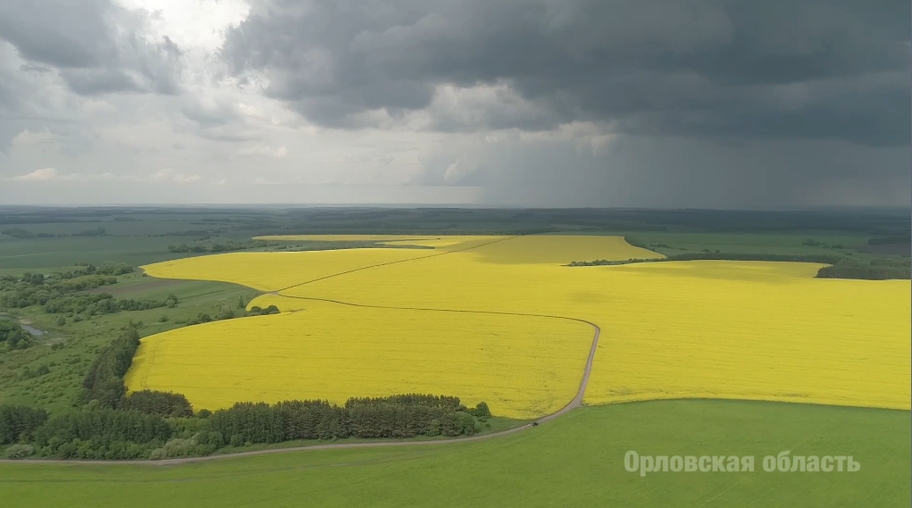 Андрей Клычков рассказал о ходе сельскохозяйственных работ на территории региона.