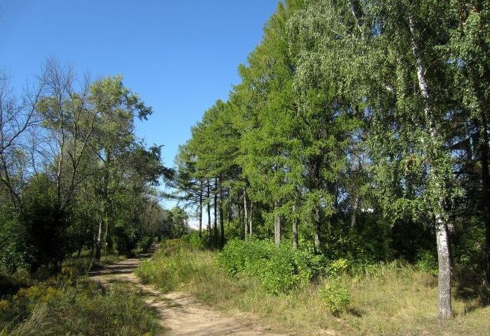 Орловский ветеран просит губернатора привести в порядок парк Победы