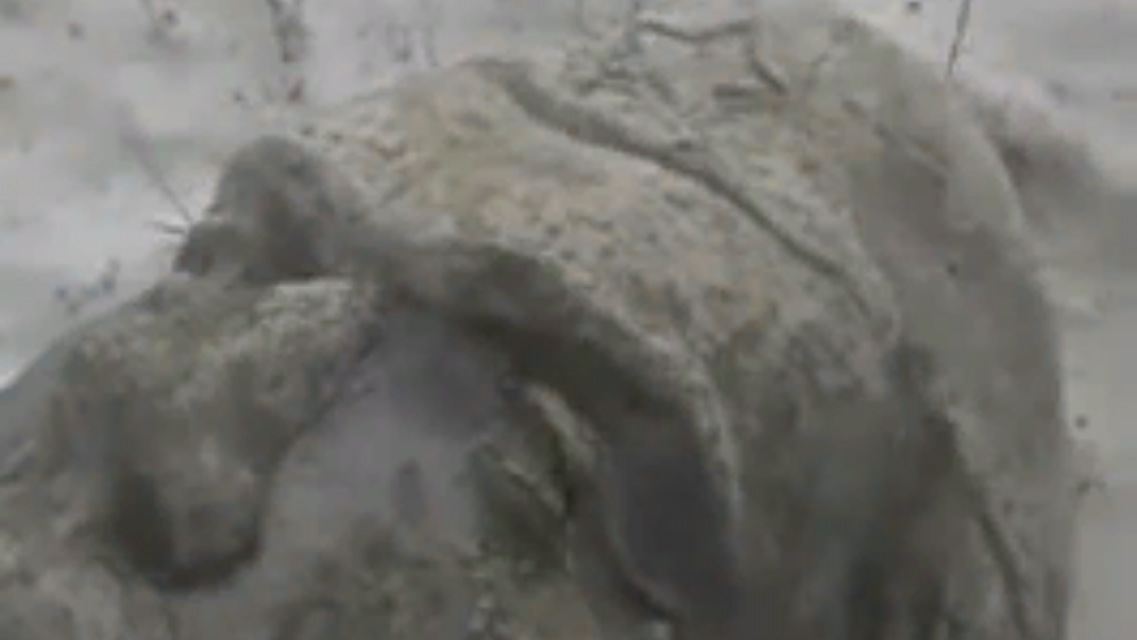 Вранье: губернатор Андрей Клычков о сносе нашумевшего мемориала на Орловщине