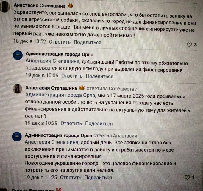 В Орле нет денег на отлов бродячих собак