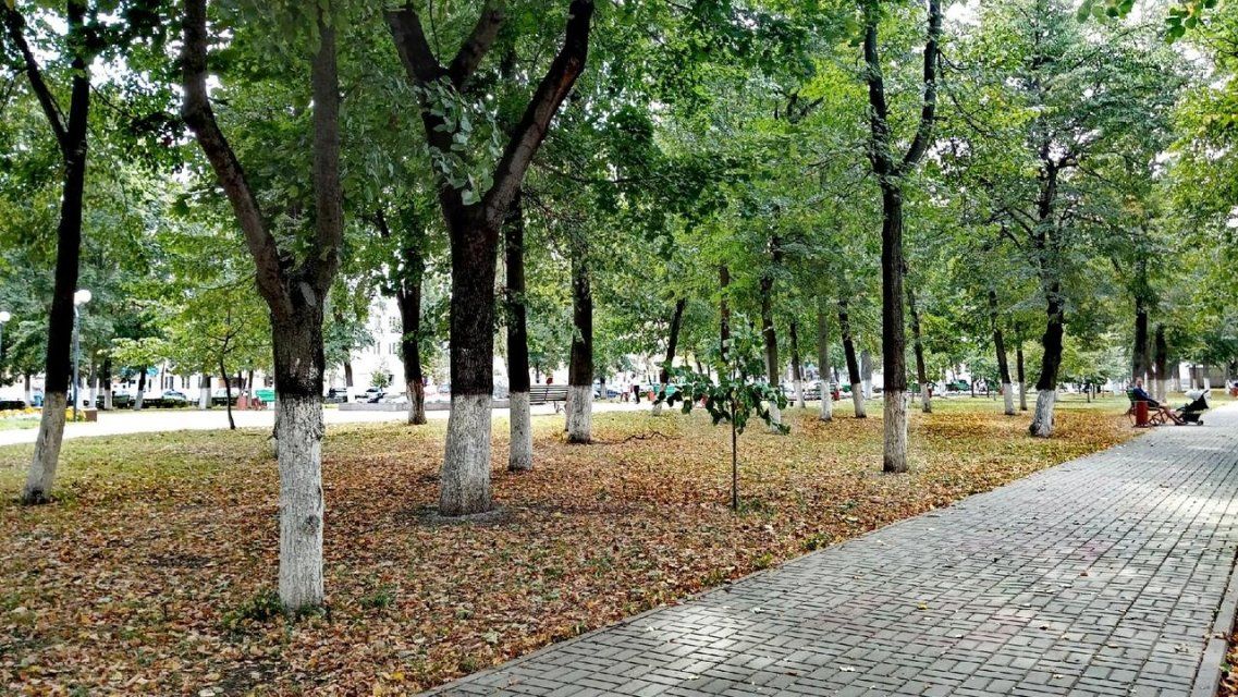 В День учителя в Орле будет солнечно и тепло