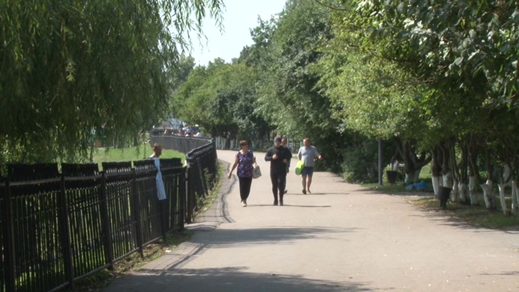 В детском парке Орла спилят 165 деревьев