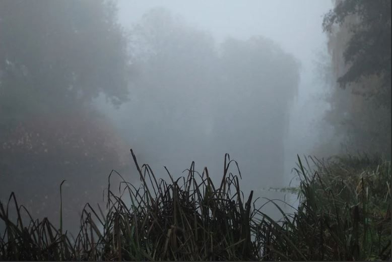 Погода в Орловской области скоро испортится