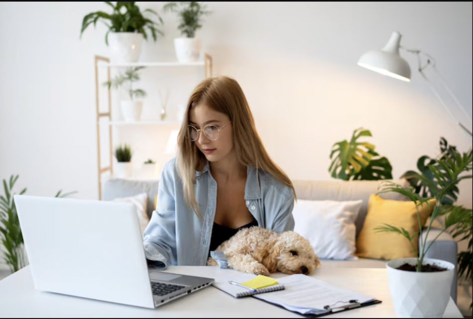 Статья-Обзор: ТОП-5 Лучших Инструментов для изучения английского