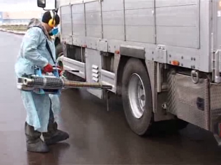 Для борьбы с африканской чумой создадут мобильные отряды