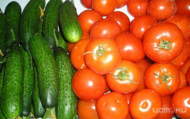 «Тепличный комбинат Орловский» намерен к осени 2017 года вложить 1,6 млрд рублей в производство огурцов и томатов