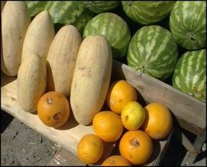  Орловчане смогут задать вопросы о несанкционированной торговле