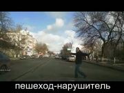 Водители вредители - 96