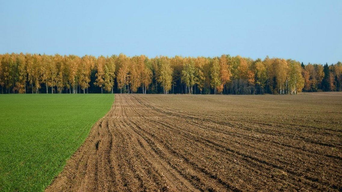 Полиция спасла орловского дачника, беспомощно лежавшего посреди поля