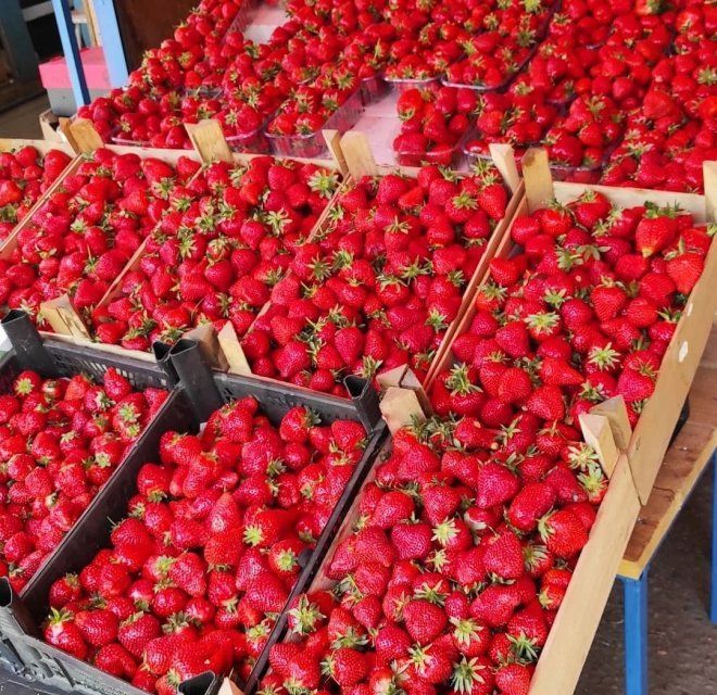 Тонны малины и клубники из Беларуси ввезли в Орловскую область с нарушениями
