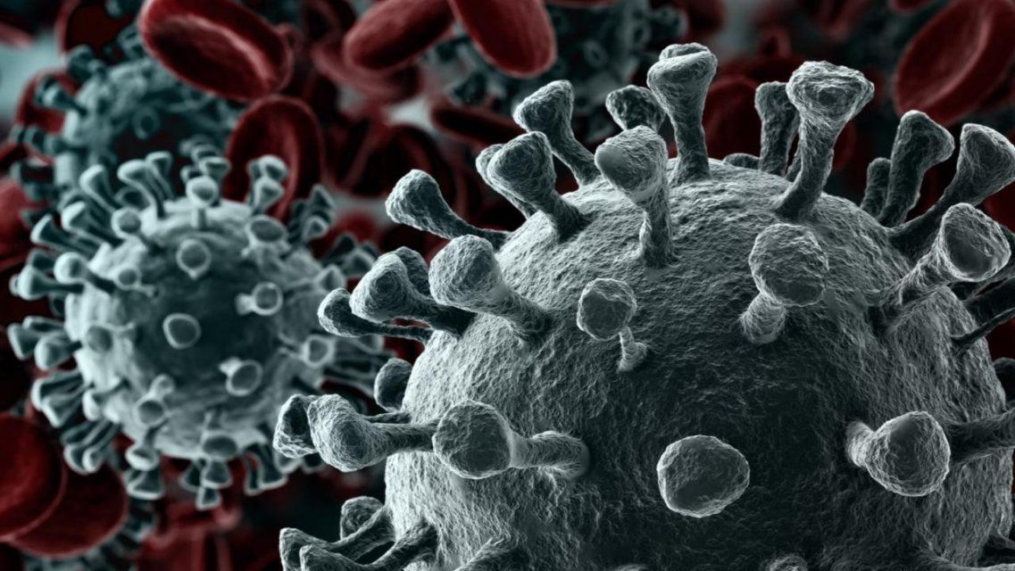 Число умерших пациентов с коронавирусом достигло на Орловщине 19