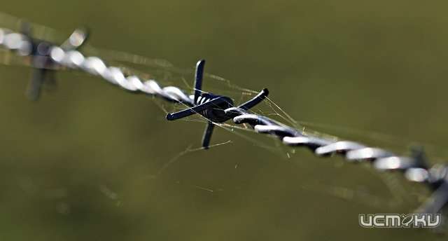 Прокуратура нашла нарушения в Шаховской колонии