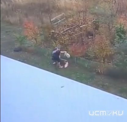 В Зареченском заявили о жестоком обращении с собакой: жители обеспокоены поведением соседа